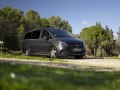 2024 Mercedes-Benz V-class Long (V447, facelift 2024) - Photo 10