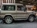 Mercedes-Benz G-sarja (W463) - Kuva 2