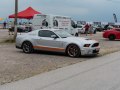 2010 Ford Shelby II (facelift 2010) - Foto 5