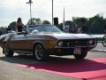 Ford Mustang I Convertible (facelift 1970) - Fénykép 5