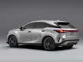 Lexus RX V - Bild 2