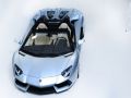 2013 Lamborghini Aventador LP 700-4 Roadster - Fotoğraf 10