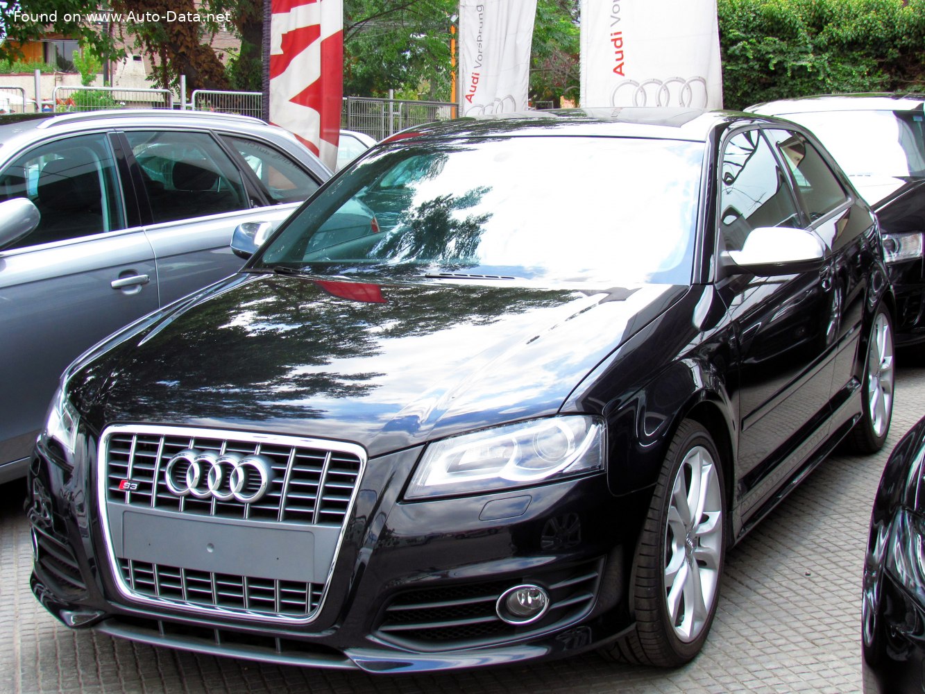 2010 Audi S3 (8P, facelift 2008) 2.0 TFSI (256 Hp) quattro