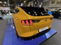 2021 Ford Mustang Mach-E - Fotoğraf 66