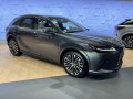 2023 Lexus RX V - Снимка 71