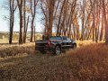 Chevrolet Silverado 1500 IV Crew Cab Short Box - Снимка 4