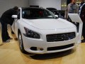 Nissan Maxima VII (A35) - Photo 4