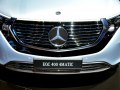 2019 Mercedes-Benz EQC (N293) - Photo 26