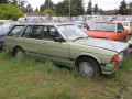 Nissan Bluebird Traveller (W910)