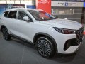 2025 Chery Tiggo 8 I (facelift 2024) - Photo 2