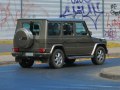 Mercedes-Benz G-Klasse Lang (W463, facelift 2008) - Bild 3