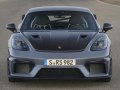 Porsche 718 Cayman (982) - εικόνα 8