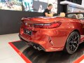 2019 BMW M8 Cabrio (F91) - Fotoğraf 46