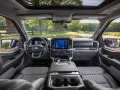 Ford F-Series F-150 XIV SuperCrew - Photo 6