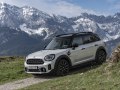 Mini Countryman (F60, facelift 2020) - εικόνα 5