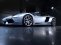 2013 Lamborghini Aventador LP 700-4 Roadster - Fotografie 8