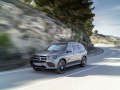 Mercedes-Benz GLS (X167) - Kuva 9