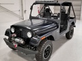 Mahindra Roxor - Technische Daten, Verbrauch, Maße