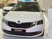 Skoda Octavia at a car show