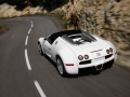 Bugatti Veyron Targa - Fotoğraf 3