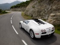 Bugatti Veyron Targa - Fotoğraf 8