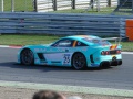 2012 Ginetta G55 GT4 - Фото 3