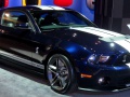 2010 Ford Shelby II (facelift 2010) - Photo 2