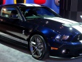 Ford Shelby II (facelift 2010) - Fotografia 2