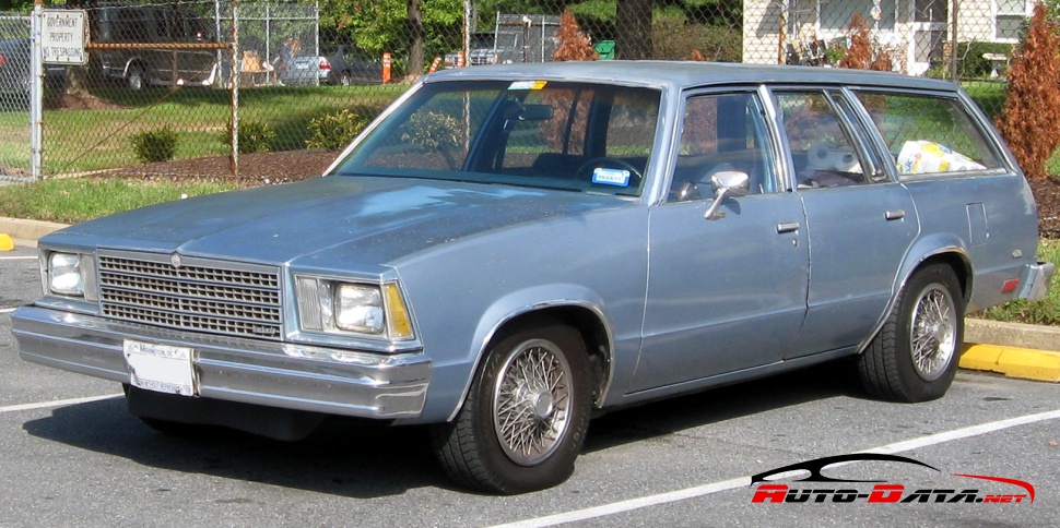 1978 Chevrolet Malibu IV Station Wagon - Fotoğraf 1