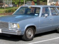 1978 Chevrolet Malibu IV Station Wagon - Fotoğraf 1