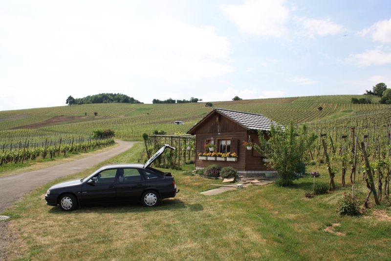 1992 Opel Vectra A CC (facelift 1992) - Fotografia 1