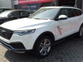 Zotye T700