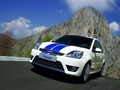 Ford Fiesta VI (Mk6) 5 door - Фото 4