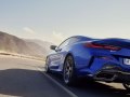 2022 BMW 8 Series Coupe (G15 LCI, facelift 2022) - Photo 6