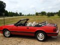 Ford Mustang Convertible III - Fotoğraf 2