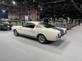 Ford Shelby I - Fotografie 9