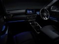 Mitsubishi Destinator - Photo 10