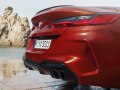2019 BMW M8 Convertible (F91) - Photo 5