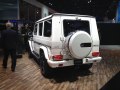 Mercedes-Benz G-Klasse Lang (W463, facelift 2012) - Bild 10
