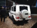 Mercedes-Benz Klasa G Long (W463, facelift 2012) - Fotografia 10