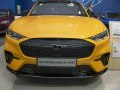 Ford Mustang Mach-E - Photo 10