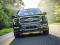 2021 Ford F-Series F-150 XIV SuperCrew - Foto 9