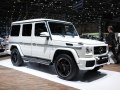 Mercedes-Benz Clase G Largo (W463, facelift 2012) - Foto 6