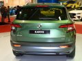 2017 Skoda Karoq - Kuva 42