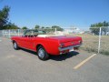 Ford Mustang Convertible I - Fotografia 2