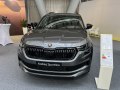 Skoda Kodiaq I (facelift 2021) - Bilde 10