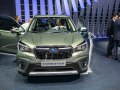 2019 Subaru Forester V - Photo 2