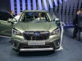 Subaru Forester V - Снимка 2