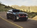 2023 BMW XM (G09) - Photo 46
