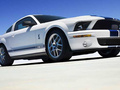 2006 Ford Shelby II - Scheda Tecnica, Consumi, Dimensioni